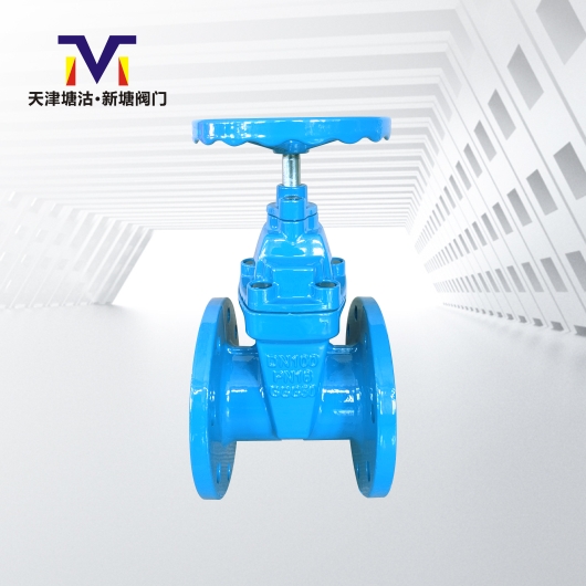 德標F4軟密封閘閥