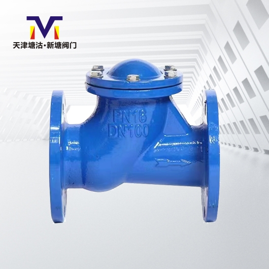 滑道滾球式止回閥